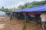 Lâm Đồng: Xuất hiện vết nứt dọc sườn đồi, hàng trăm người phải lánh nạn