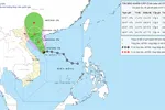 11 tỉnh, thành phố sẵn sàng ứng phó bão số 1 và mưa lũ sau bão
