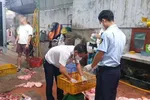 Cơ quan chức năng kiểm tra tại cơ sở pha chế thịt heo nghi nhiễm dịch tả heo châu Phi. Ảnh: DMS