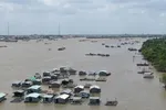 Mực nước sông Đồng Nai vượt báo động 2
