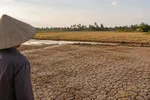 El Nino có khả năng đạt cường độ rất mạnh trong 3 tháng cuối năm