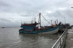 11 tỉnh, thành ven biển chủ động ứng phó gió mạnh, sóng lớn