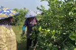 Mùa khô ở Nam bộ, trời sẽ giảm mưa, tăng nắng. Ảnh minh họa: PHÚC HẬU