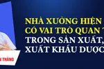 Nhà xưởng hiện đại có vai trò quan trọng trong sản xuất, xuất khẩu dược phẩm