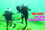 'Mỏ vàng' đáy biển vịnh Quy Nhơn
