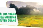 Dải lụa trắng giữa núi rừng Tuyên Quang