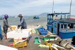 Nỗ lực gỡ thẻ vàng IUU