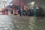 Mưa lớn kéo dài, nhiều tuyến đường ở thành phố Hà Tĩnh ngập trong biển nước