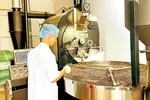 Cà phê 'sốt giá', doanh nghiệp thấp thỏm 
