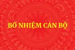 Thủ tướng điều động, bổ nhiệm thứ trưởng 7 bộ