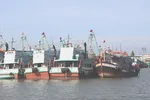 Kiểm soát chặt hoạt động khai thác trên biển là một trong những nhiệm vụ trọng tâm của TPHCM trong tháng cao điểm chống khai thác IUU, hướng tới khắc phục đầy đủ các khuyến nghị của EC