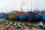 Hướng dẫn hơn 53.000 tàu tránh áp thấp nhiệt đới