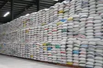 Số lượng gạo tồn đọng trong kho của các DN ở ĐBSCL rất lớn.
