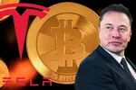 Elon Musk tự tay đâm nhát dao chí mạng vào Bitcoin