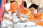 Triển vọng tăng trưởng Việt Nam năm 2021.