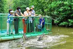 Kiểm soát được dịch, Cần Giờ tính mở tour du lịch cuối tháng 9