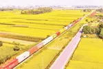 Ðoàn tàu chở hàng công-ten-nơ trên tuyến đường sắt bắc-nam.