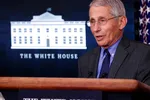 Anthony Fauci cho biết: “Vấn đề nằm ở những người chưa được tiêm chủng.” Nguồn ảnh: Associated Press.