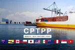 Xin gia nhập CPTPP, Trung Quốc vấp phản ứng nào từ các thành viên?