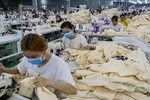 Workers at a garment factory in the southern province of Long An. Photo by VnExpress/Quynh Tran