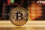 Bitcoin giảm sau báo cáo việc làm mạnh mẽ của Mỹ