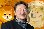 Dogecoin tăng vọt sau khi Elon Musk thay thế chú chim Twitter bằng chó Shiba Inu