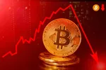 Lý do Bitcoin đóng tuần đẫm máu nhất trong 5 tháng