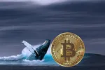 10 cá voi di chuyển lượng Bitcoin lớn nhất kể từ 2019, biến động giảm hơn nữa?