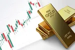 Giá vàng 8/7: 55,8 triệu đồng/lượng, vàng tăng trở lại sau báo cáo NFP