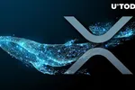 XRP tiếp tục thu hút sự chú ý của nhà đầu tư, cá voi di chuyển 563.571 XRP