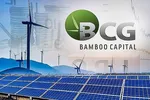 Bamboo Capital Group's Financial Challenges