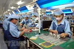 Vietnam Anticipates a Surge in High-Quality FDI in 2024