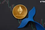 Cá voi ào ạt mua Ethereum khi giá giảm sâu