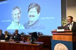 Thomas Perlmann, thư ký của Hội đồng Nobel và Ủy ban Nobel, phát biểu khi Victor Ambros và Gary Ruvkun được trao Giải Nobel Sinh lý học hoặc Y khoa năm nay, ngày 7/10/2024. (Ảnh: Reuters)