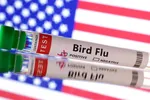 California ban bố tình trạng khẩn sau ca cúm gia cầm nghiêm trọng đầu tiên ở người