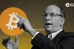 CEO BlackRock: Giá Bitcoin có thể tăng lên 700.000 USD