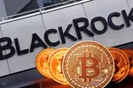 CEO BlackRock: Bitcoin có nhiều tiềm năng hơn vàng