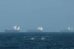 Tàu thuyền đậu ngoài khơi Fujairah, UAE, trong bối cảnh Iran hạn chế hoạt động hàng hải qua eo biển Hormuz, ngày 3-3. Ảnh: TTXVN