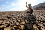 El Nino cực mạnh được dự báo có thể quay trở lại trong năm 2026, làm gia tăng nguy cơ hạn hán trên diện rộng tại châu Á - Thái Bình Dương. Ảnh: TTXVN.