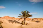 Sa mạc Sahara. Ảnh: TTXVN
