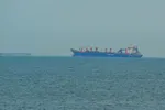 Tàu thương mại neo đậu ngoài khơi bờ biển Các Tiểu vương quốc Arab Thống nhất (UAE). Ảnh: Anadolu Agency/TTXVN