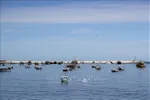 Tàu thuyền neo đậu trên vùng biển Địa Trung Hải ngoài khơi thành phố Alexandria, Ai Cập. Ảnh: THX/TTXVN