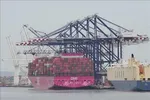 Cảng hàng hóa New York và New Jersey, Mỹ. Ảnh: THX/TTXVN phát
