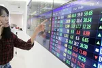 Nhà đầu tư theo dõi diễn biến thị trường chứng khoán tại một công ty chứng khoán ở TPHCM. Ảnh: HOÀNG HÙNG