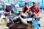 Lợi thế biển và nỗi niềm chưa giàu từ biển