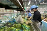 Làm chủ công nghệ để nâng cao giá trị nông sản