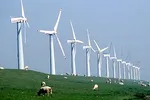 Cân bằng điện tái tạo với điện than
