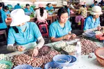Phát triển nông sản Việt Nam: Tư duy ngắn, thiếu tầm nhìn
