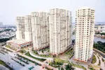 Vì sao chây ì thành lập ban quản trị