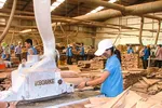 Ngành may và gỗ trước cuộc chiến thương mại: “Thuận buồm” nhưng không “xuôi gió“